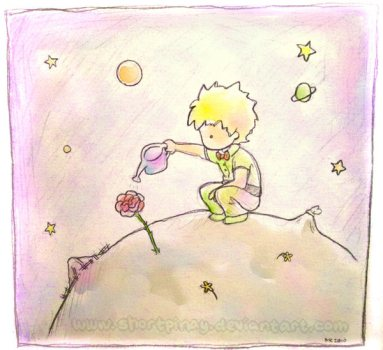 p'tit prince arrose sa fleur